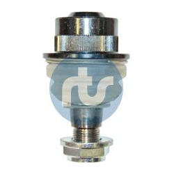  Šarnyras / girgždukas