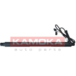  galinių durų elektros variklis