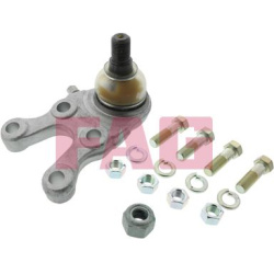  Šarnyras / girgždukas