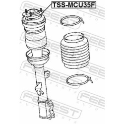 pakabos statramsčio atraminis guolis  pakabos statramsčio atraminis guolis