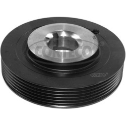  skriemulys, alkūninis velenas