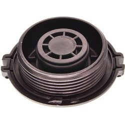  dangtelis, radiatorius