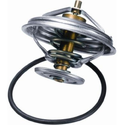  termostatas, aušinimo skystis