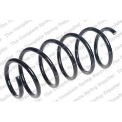 spyruoklė  spyruoklė