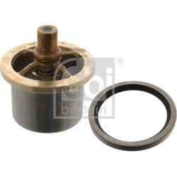  termostatas, aušinimo skystis