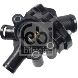  termostatas, aušinimo skystis