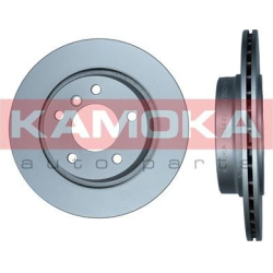  stabdžių diskas (1vnt)