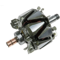  rotorius, kintamosios srovės generatorius <small>AS</small>