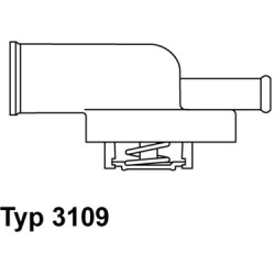  termostatas, aušinimo skystis