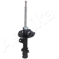 amortizatorius  amortizatorius