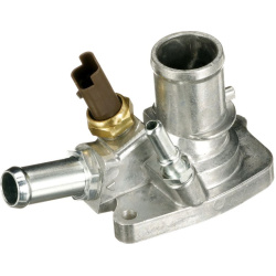  termostatas, aušinimo skystis