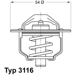  termostatas, aušinimo skystis