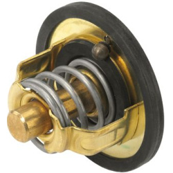  termostatas, aušinimo skystis