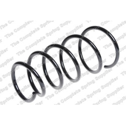 spyruoklė  spyruoklė