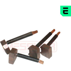  anglies šepetėlis, starteris