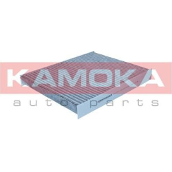  filtras, salono oras