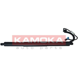  galinių durų elektros variklis