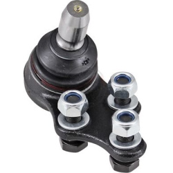  Šarnyras / girgždukas