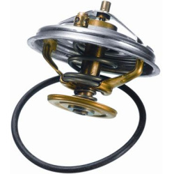 termostatas, aušinimo skystis  termostatas, aušinimo skystis