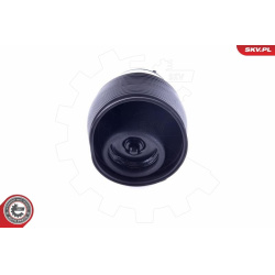  pneumatinė spyruoklė, pakaba