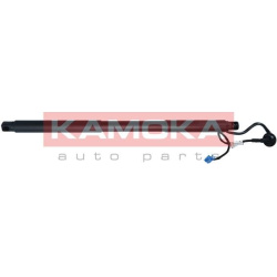  galinių durų elektros variklis