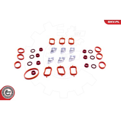  remonto komplektas, įsiurbimo kolektoriaus modulis