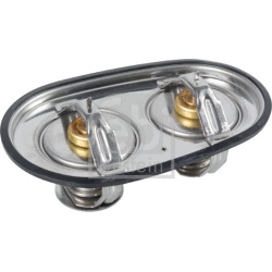  termostatas, aušinimo skystis