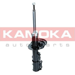 amortizatorius  amortizatorius