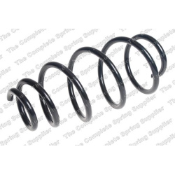 spyruoklė  spyruoklė