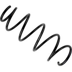  spyruoklė <small>BILSTEIN - B3 OE Replacement</small>