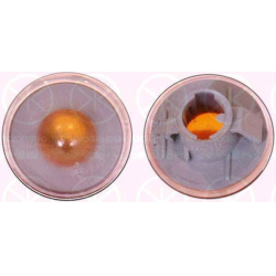 indikatorius  indikatorius