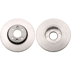  stabdžių diskas (1vnt)