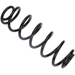 spyruoklė  spyruoklė