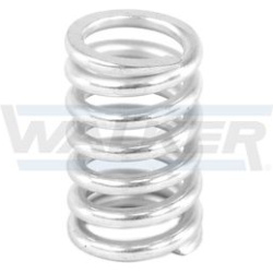  spyruoklė, duslintuvas