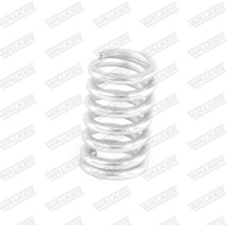  spyruoklė, duslintuvas