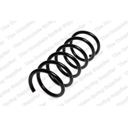 spyruoklė  spyruoklė