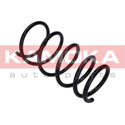 spyruoklė  spyruoklė