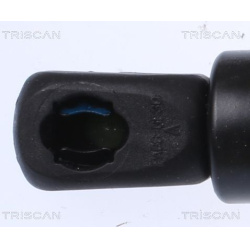  dujinė spyruoklė, bagažinė