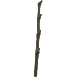  žarna, degalų išsiliejimo apsauga