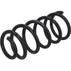 spyruoklė  spyruoklė