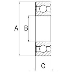  pavaros guolis, kintamosios srovės generatorius