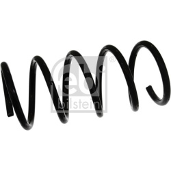 spyruoklė  spyruoklė