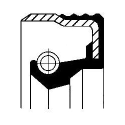  veleno sandariklis, įpurškimo siurblys