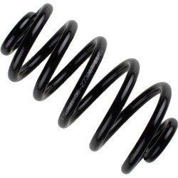  spyruoklė <small>BILSTEIN - B3 OE Replacement</small>