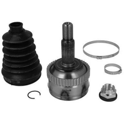 pusašio šarnyras  pusašio šarnyras