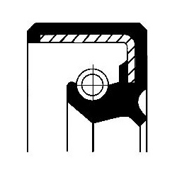  veleno sandariklis, neautomatinė transmisija