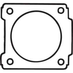  tarpiklis, išleidimo kolektorius