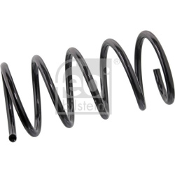 spyruoklė  spyruoklė