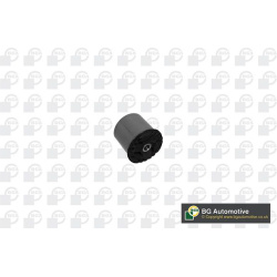  stebulės laikiklio įvorė