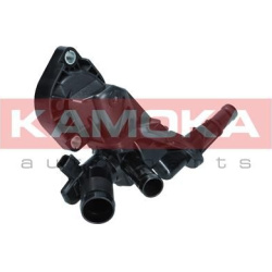  termostatas, aušinimo skystis